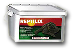 Reptilix Landschildkröten